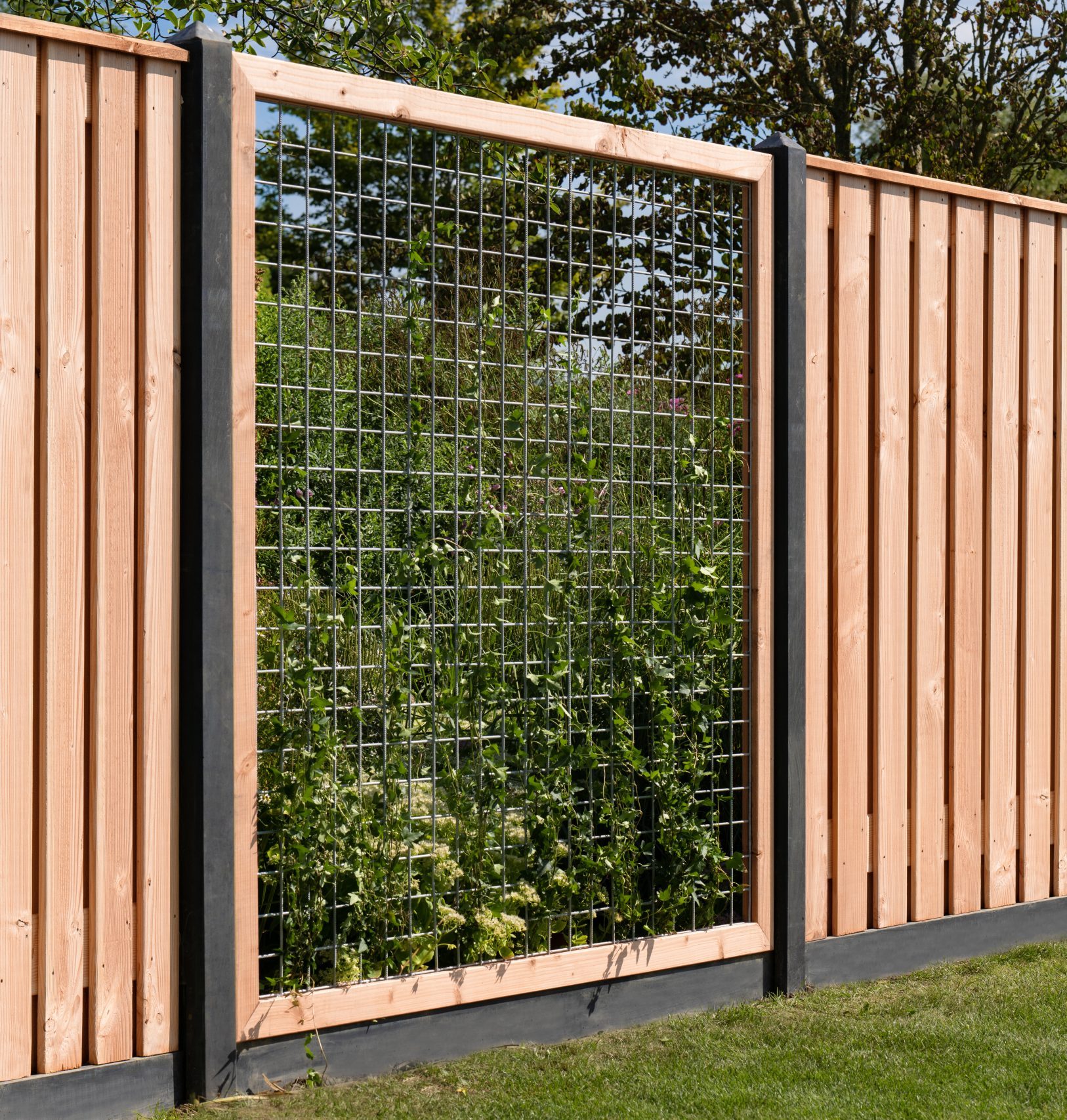 Trellis schermen en Gaaspanelen