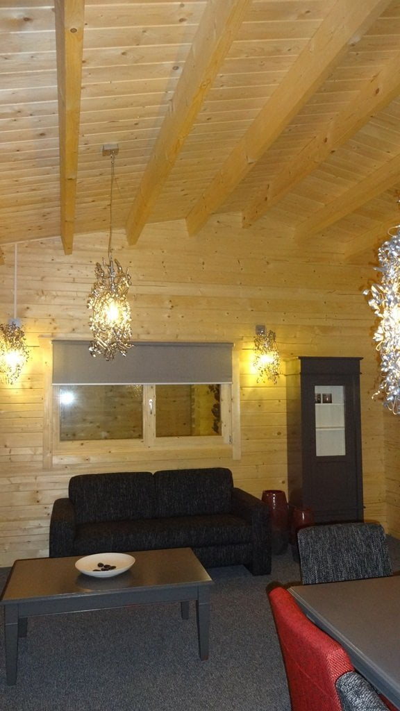 Luxe recreatie chalet - Afbeelding 2