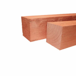 Douglas palen 100x100mm